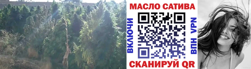 ТГК THC oil  Купить закладки  Мышкин 